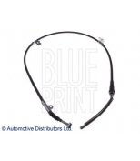 BLUE PRINT - ADN146302 - 